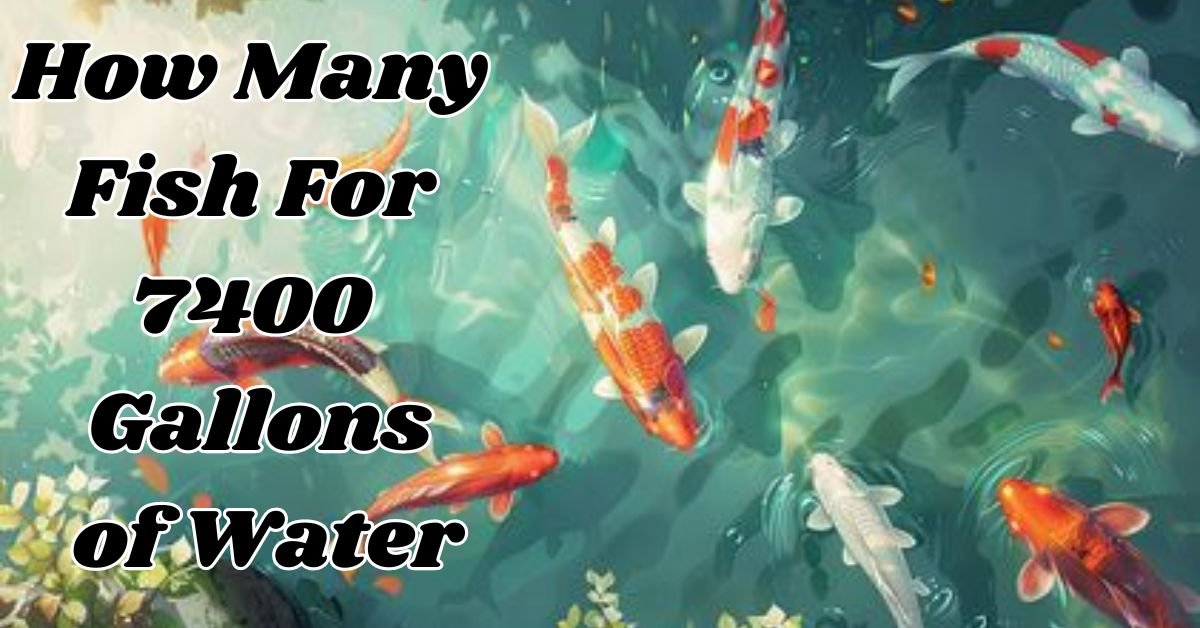 Read more about the article The Ultimate Guide: How Many Fish for 7400 Gallons of Water?