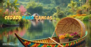 Read more about the article Why Every Canoeist Needs a Cedazo para Canoas: Your Essential Guide